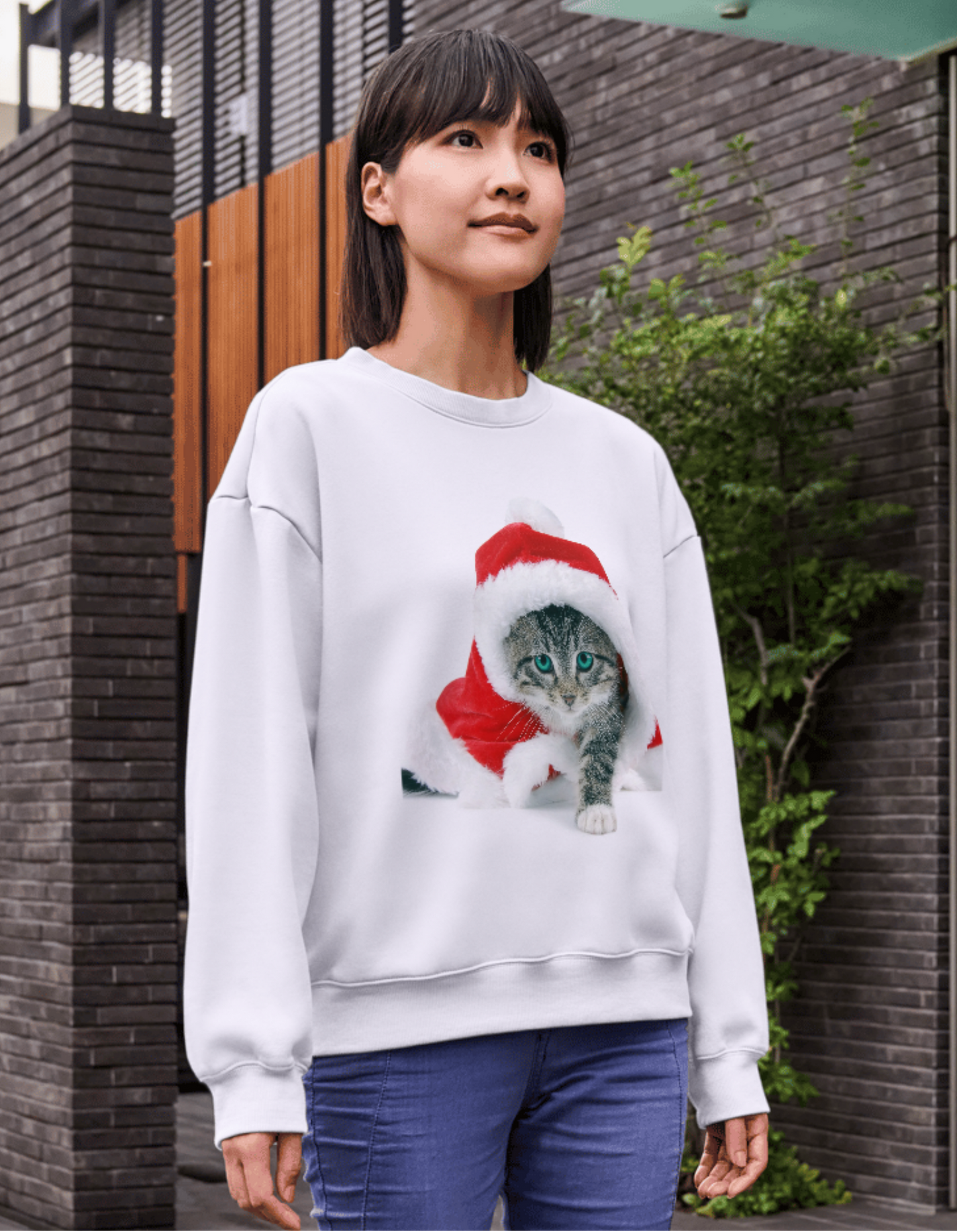 Sweatshirt Woman's without hoodie.