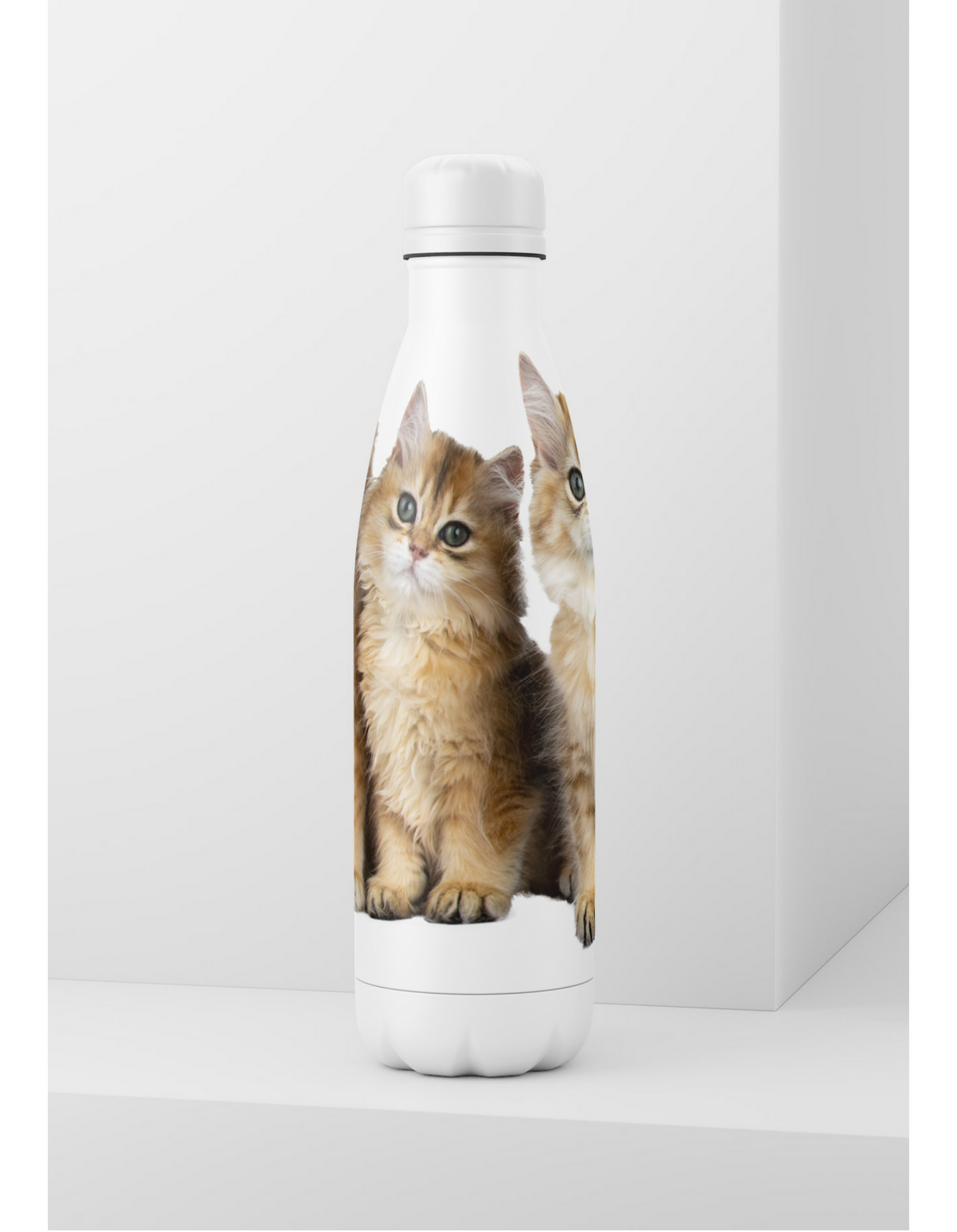Water Bottles